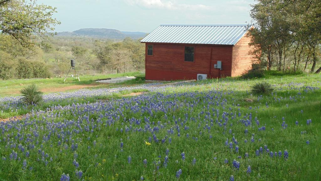 Texas T Bed And Breakfast Llano Zewnętrze zdjęcie